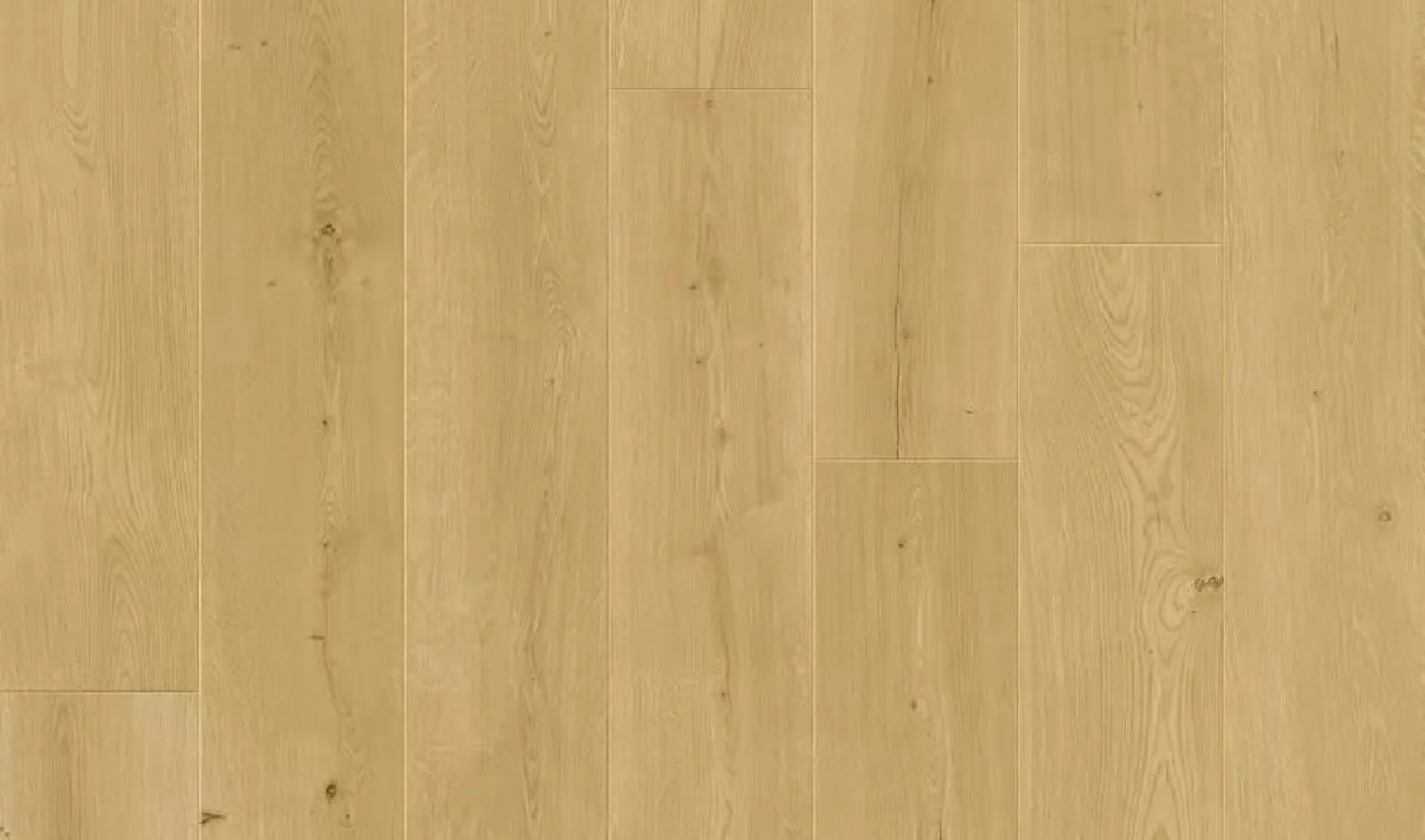 Clear Oak plank close-up